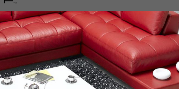 Leather Cleaning Technican Course