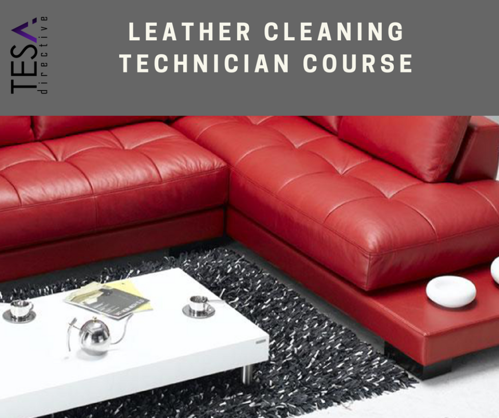 Leather Cleaning Technican Course