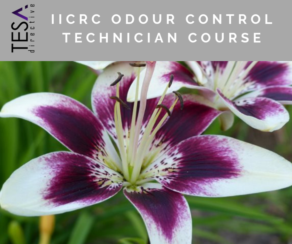 IICRC Odour Control Technician Course