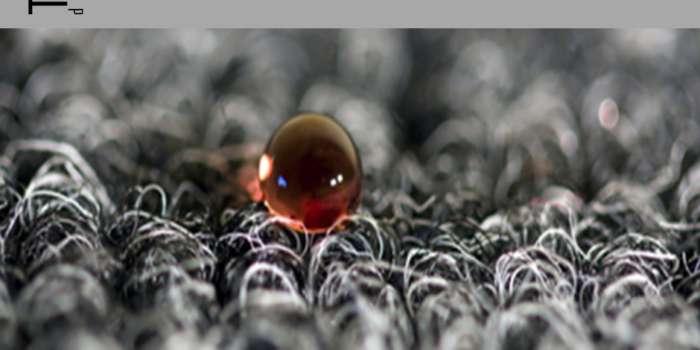 IICRC Carpet Cleaning Technician Course