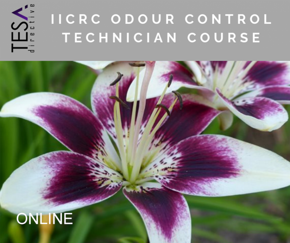 ONLINE IICRC-Odour-Control-Technician-Course-Colour